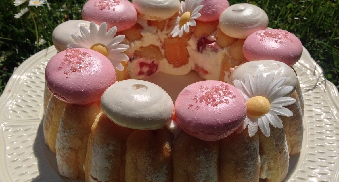 Charlotte Aux Fraises Rapide Et Legere Les Gourmandises De Nemo