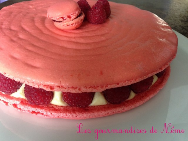 Macaron Geant Ou Gateau Macaron Les Gourmandises De Nemo Macaron Geant Ou Gateau Macaron Les Gourmandises De Nemo