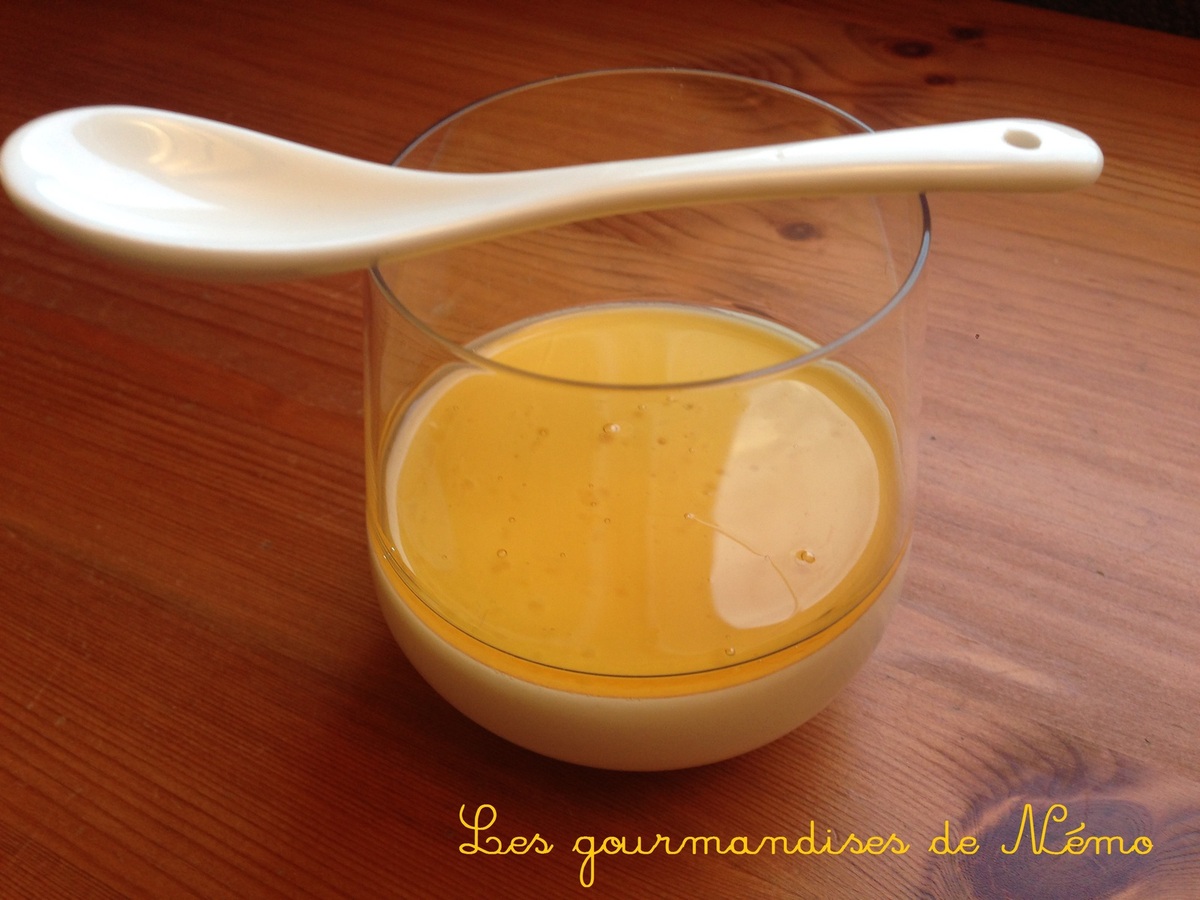 Panna cotta au lait fermenté Les Gourmandises de Némo