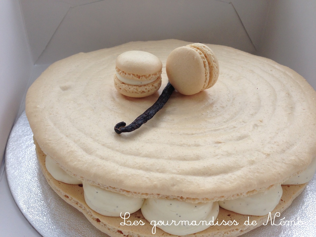 Macaron Geant Ultra Vanille Les Gourmandises De Nemo Macaron Geant Ultra Vanille Les Gourmandises De Nemo