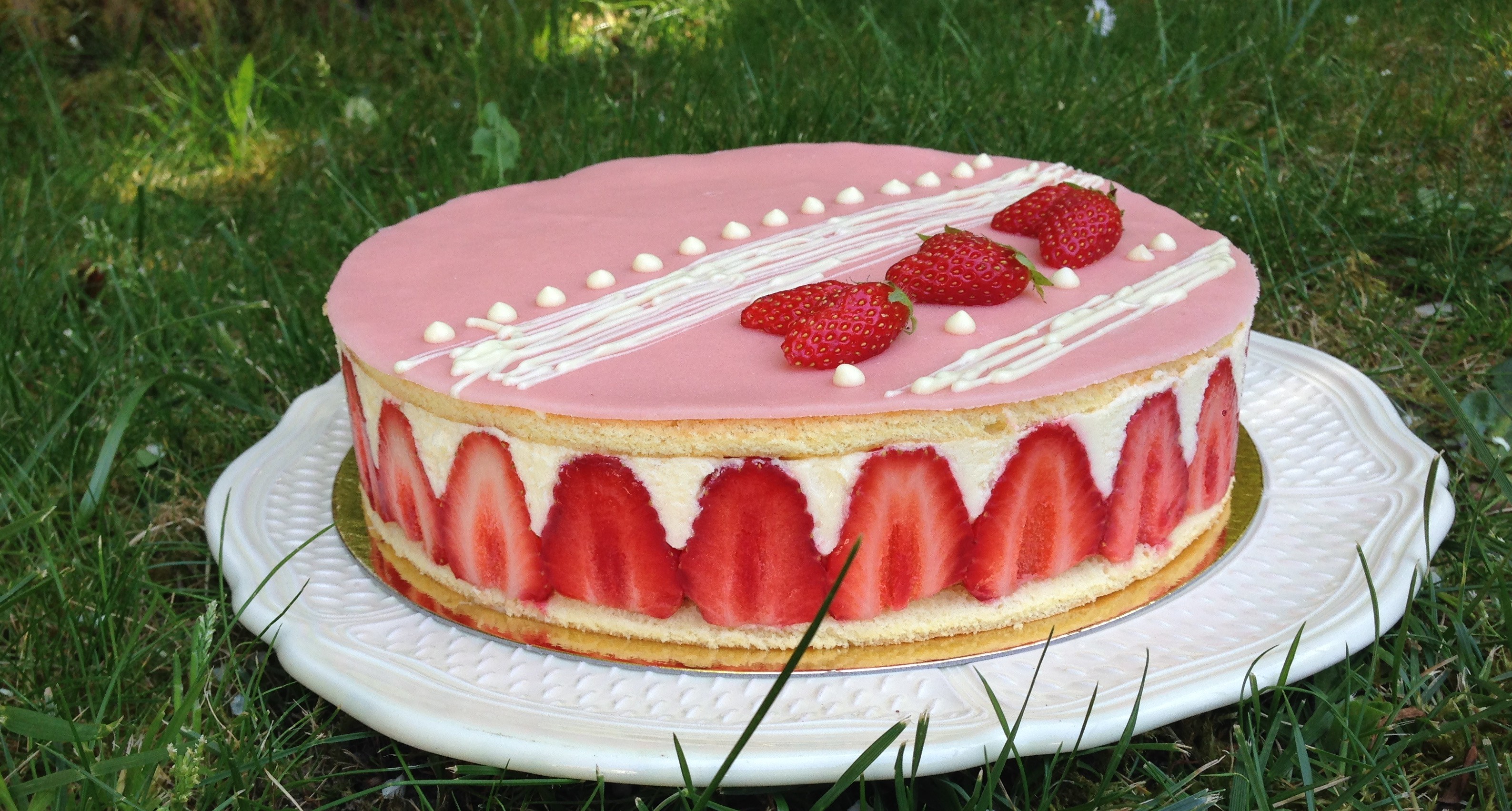 Fraisier Les Gourmandises De Nemo Fraisier Les Gourmandises De Nemo
