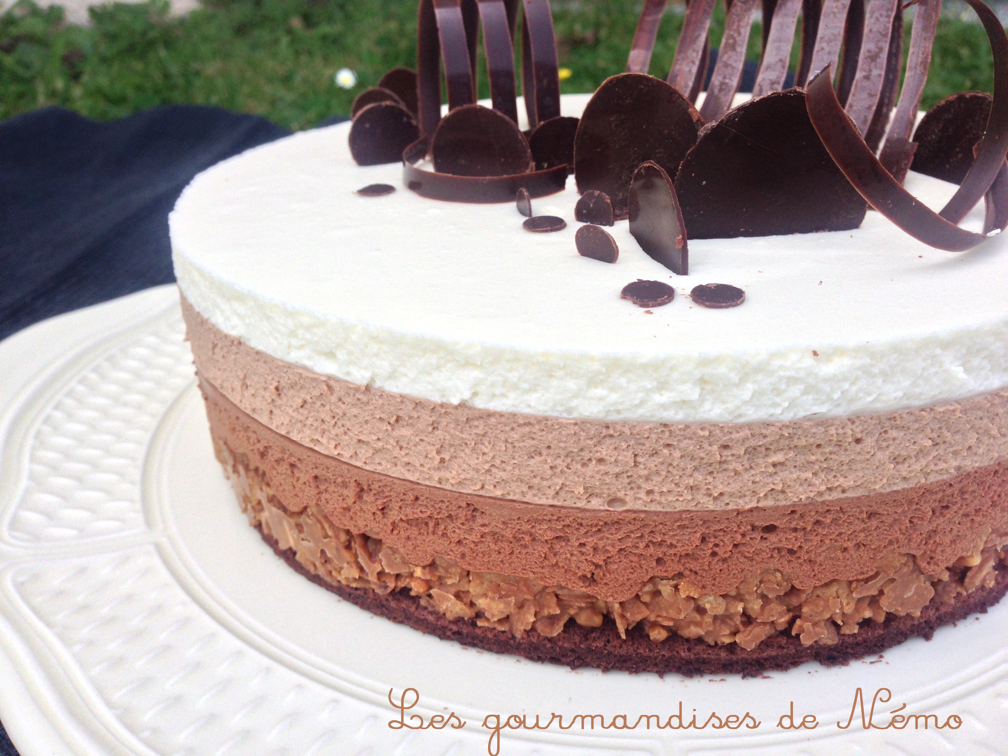 Entremet 3 Chocolats Les Gourmandises De Némo