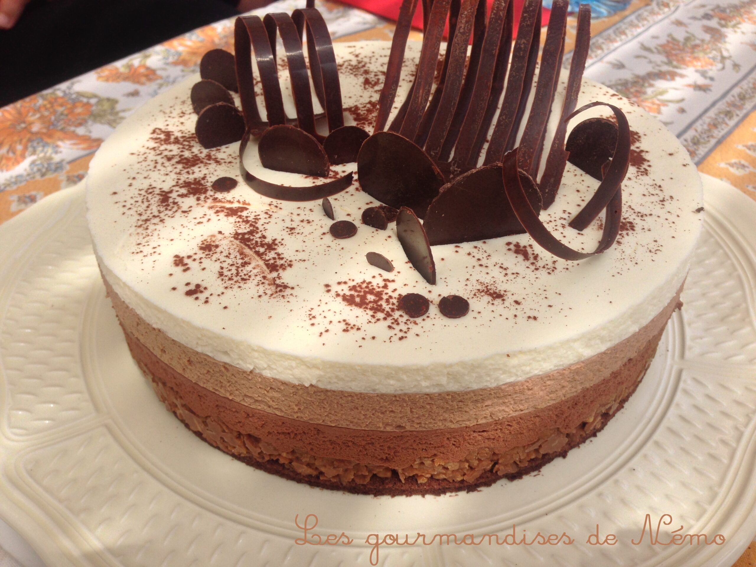 Entremet 3 Chocolats Les Gourmandises De Nemo