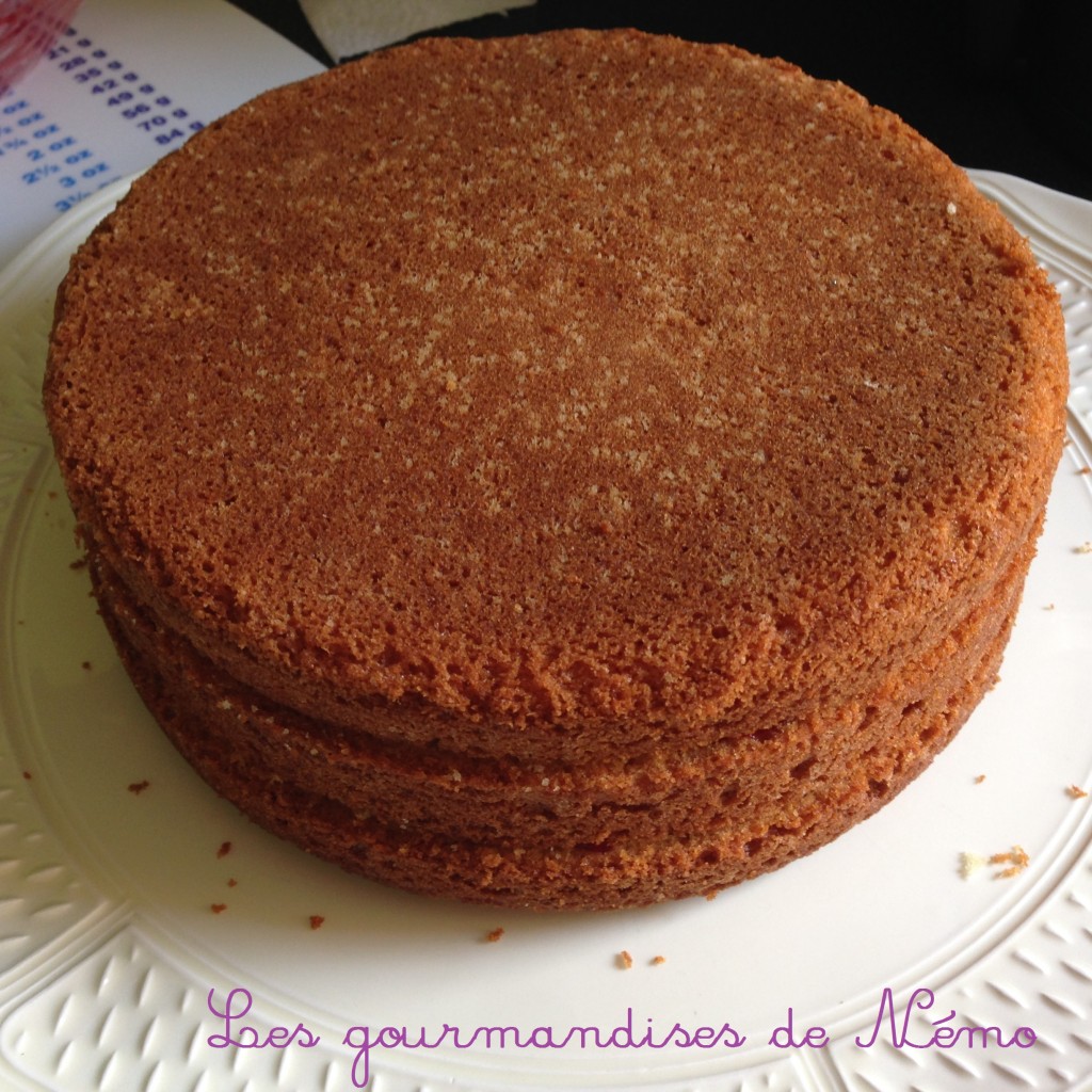 Gâteau simple en pâte à sucre, vanille et curd framboise Les Gourmandises de Némo