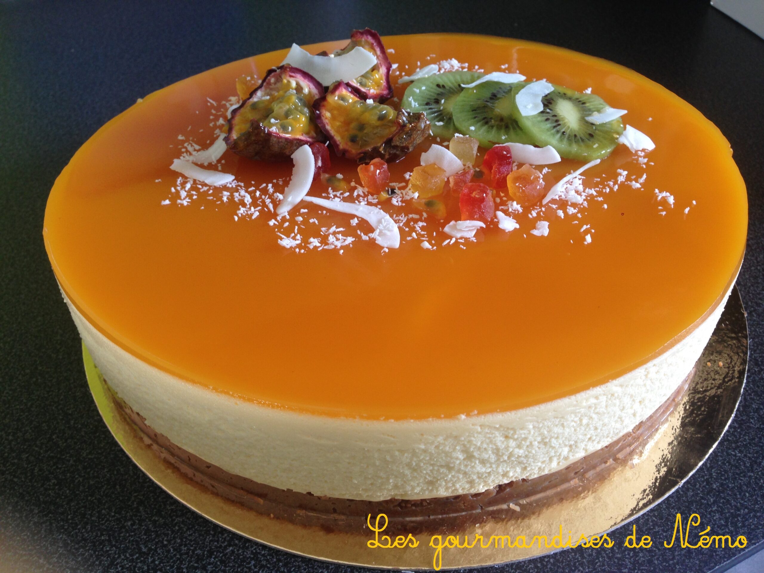 Entremet Fruits De La Passion Insert Mangue Les Gourmandises De Nemo