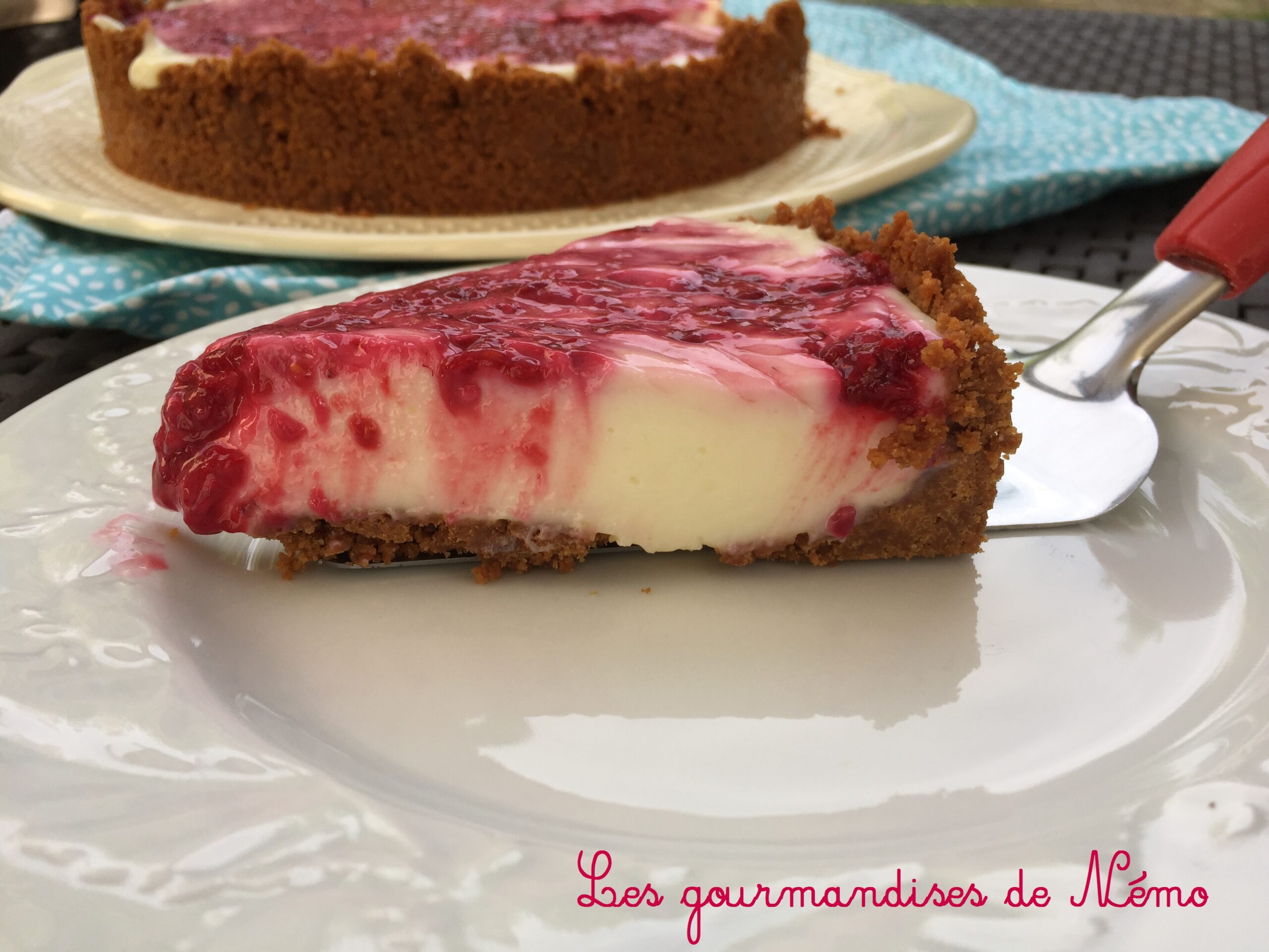 Tarte Sans Cuisson Citron Framboises Les Gourmandises De Nemo