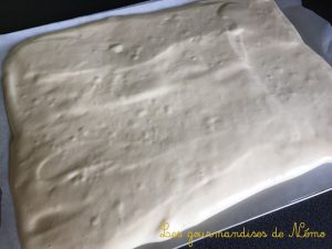 bûche ferrero rocher, recettes de buches de noel, recettes de buche facile, recettes de buches rapides, recettes rapides de desserts de noel, recettes avec des ferrero rochers, recettes de buche au chocolat, recette de buche legere, recette de buches avec mousse