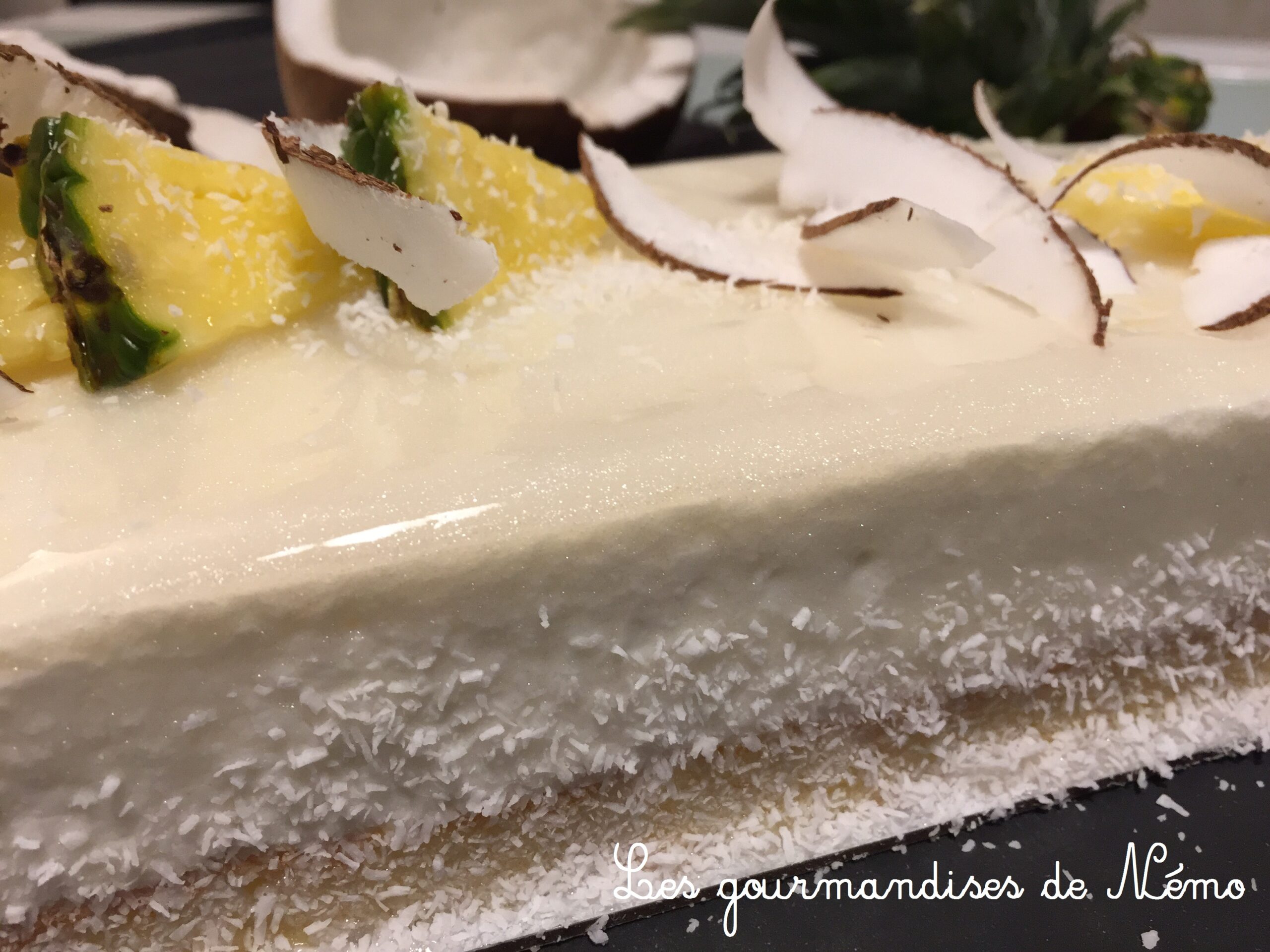 Entremet Fraicheur Ananas Et Noix De Coco Les Gourmandises De Nemo