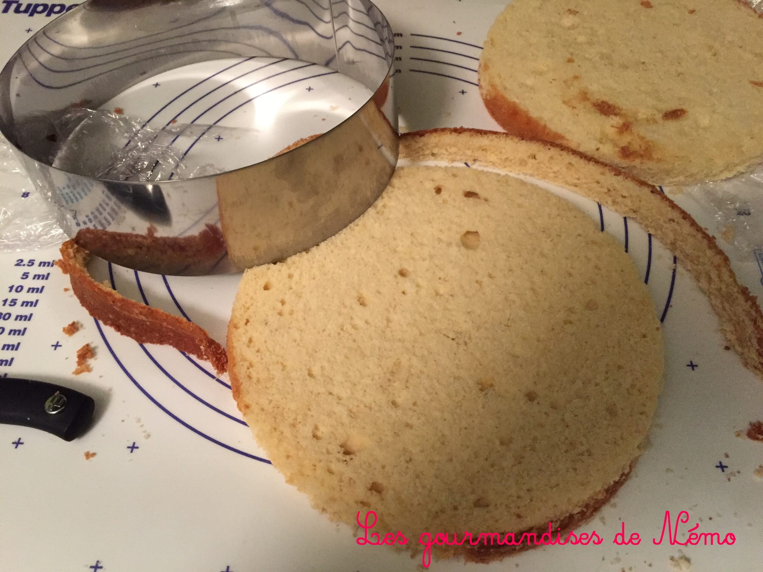 Molly Cake Nature Pour Gateau Chica Vampiro Les Gourmandises De Nemo Molly Cake Nature Pour Gateau Chica Vampiro Les Gourmandises De Nemo