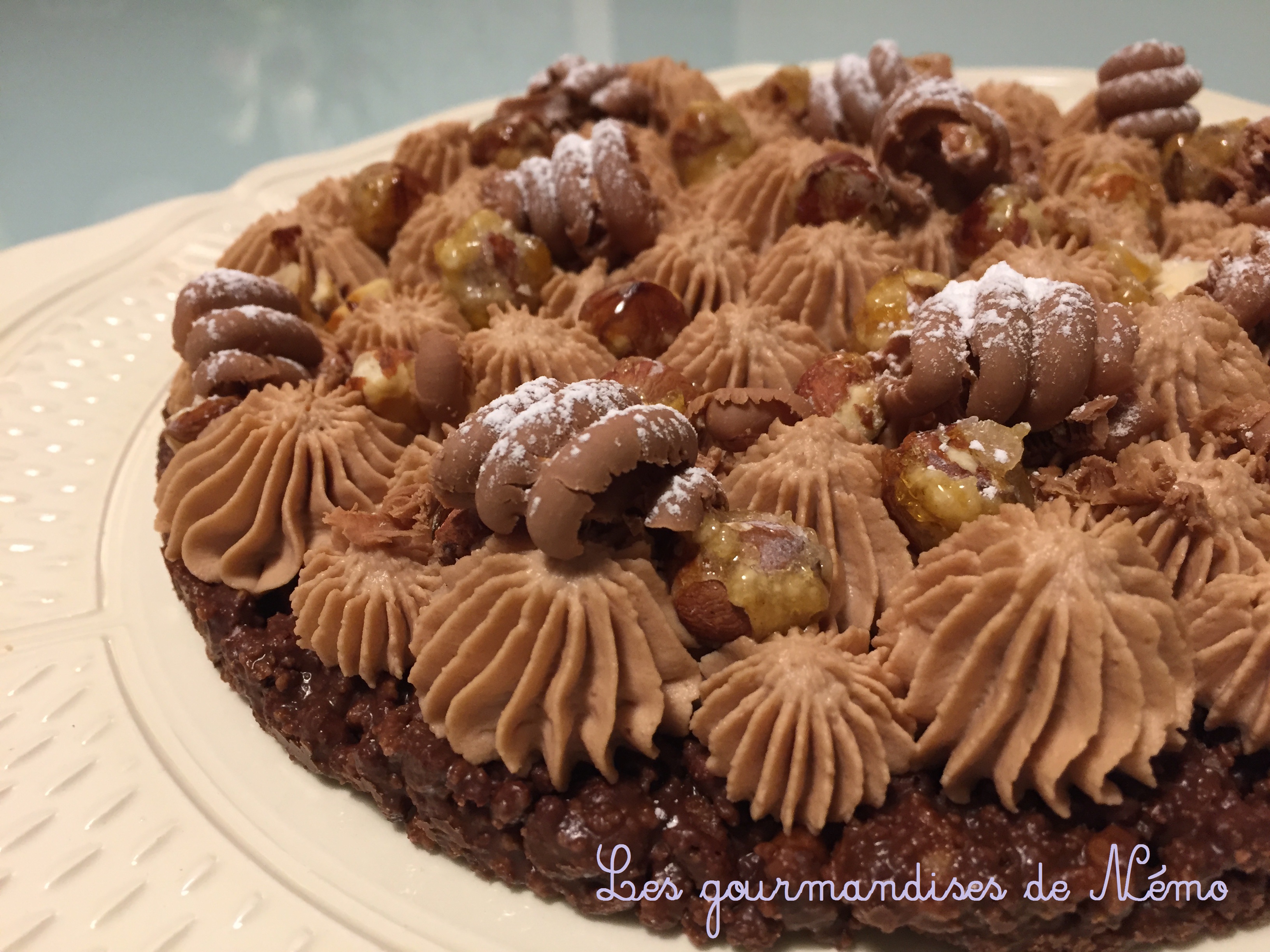 Recette gianduja maison. #gianduja #pâtisserie #noisettes #chocolat  #callebaut