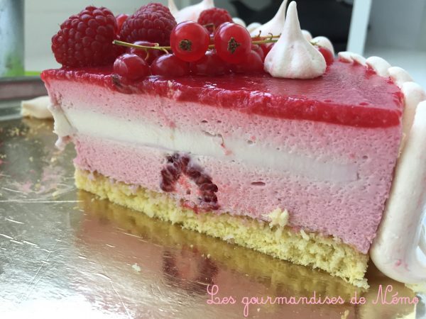 Combien De Temps Se Conserve Une Galette Des Rois Entremet framboise insert pannacotta vanille | Les Gourmandises de Némo