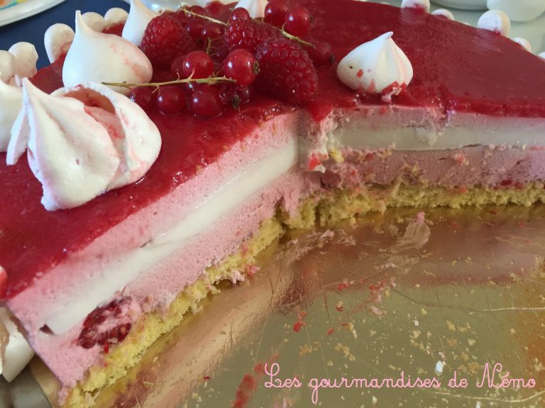 Combien De Temps Se Conserve Une Galette Des Rois Entremet framboise insert pannacotta vanille | Les Gourmandises de Némo
