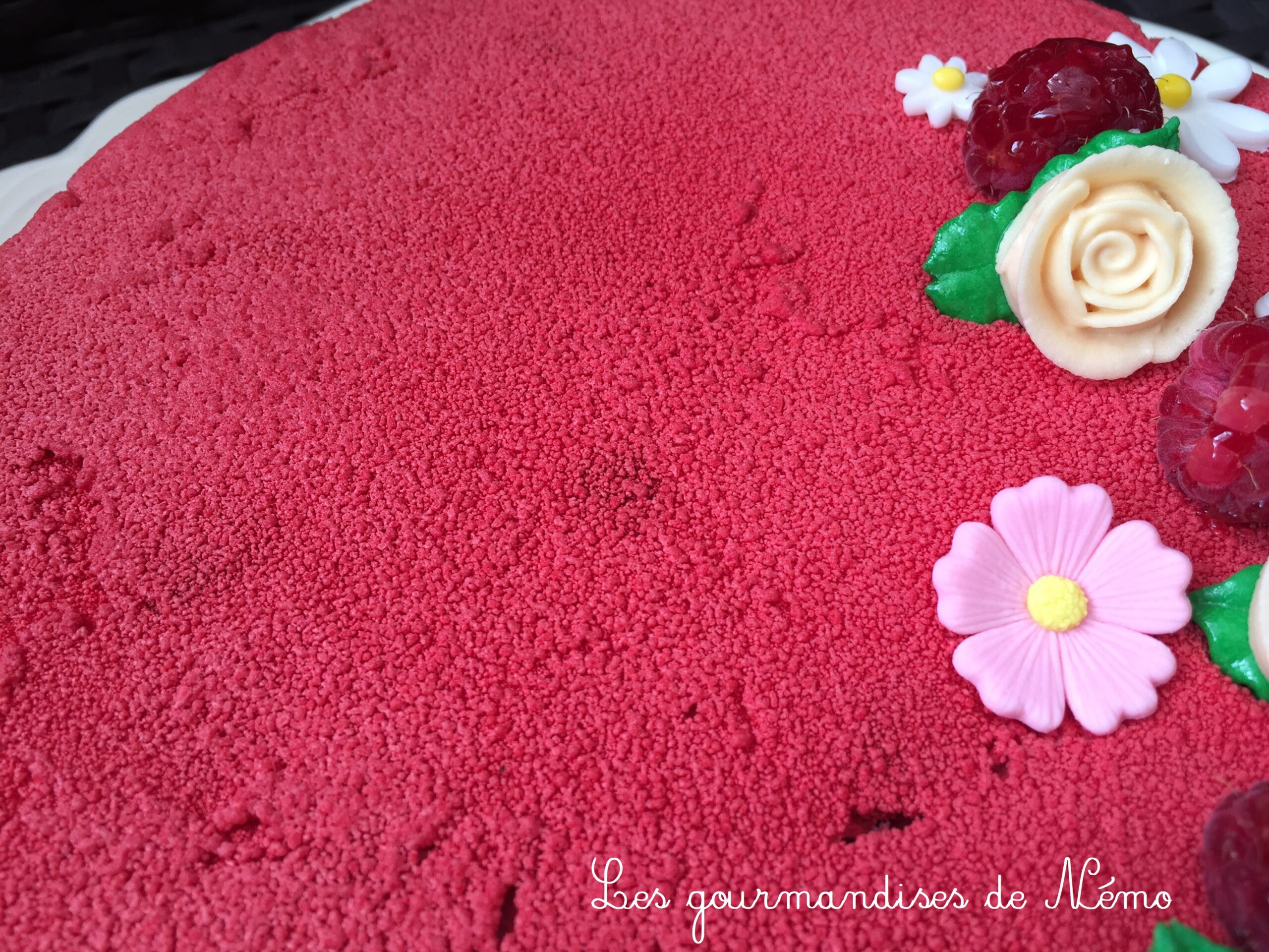 Entremet framboise amande – Les Gourmandises de Némo